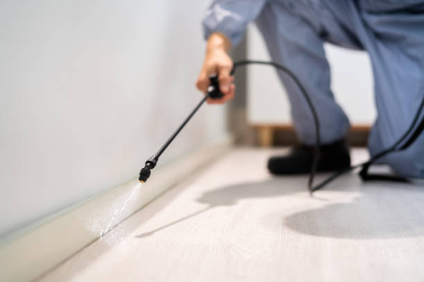Bed Bug Pre-Treatment Preparation Assessment in Withamsville