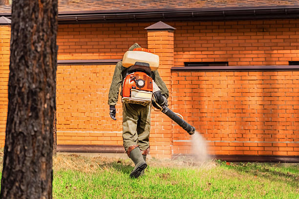 Bed Bug Clearance Verification and Documentation in Withamsville